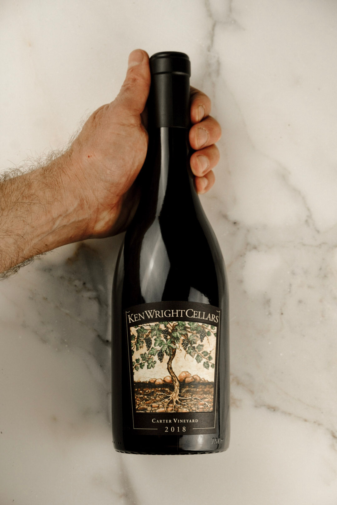 Ken Wright Cellars, Carter Vineyard Pinot Noir (2018)